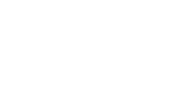 Nuvini logo